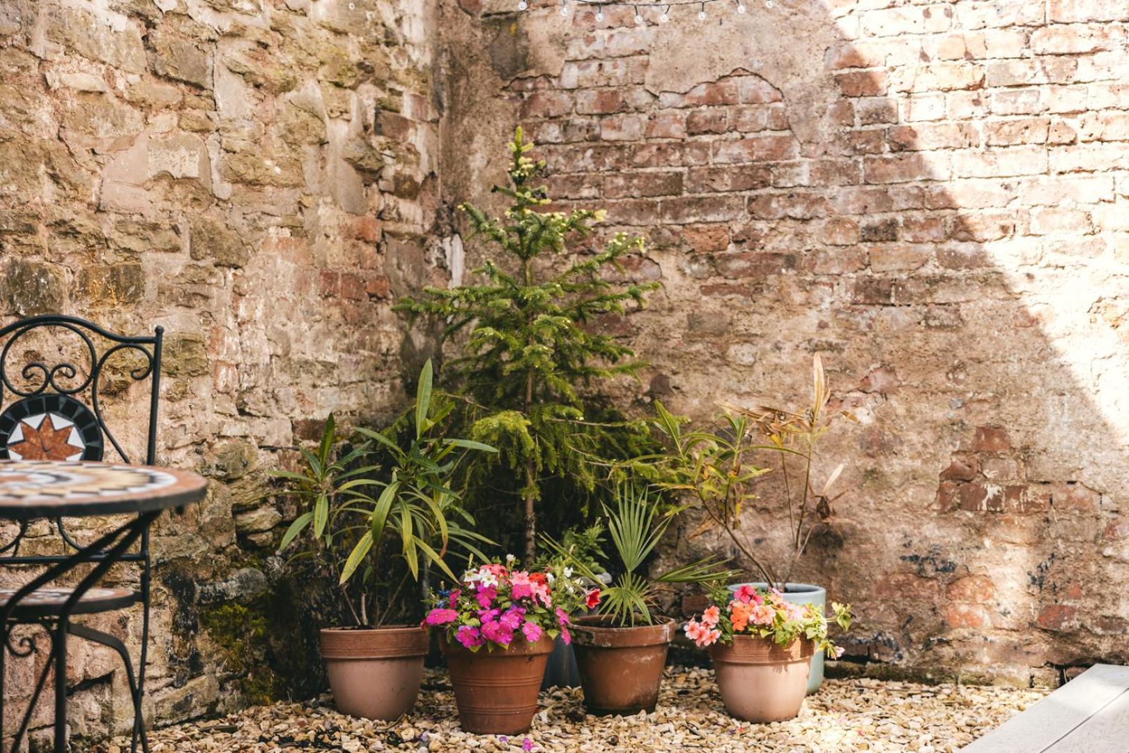 Ludlow Town Centre Apartments エクステリア 写真